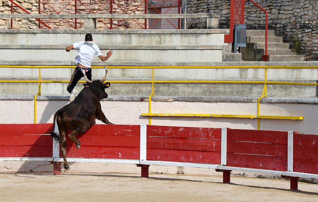 造判定难题